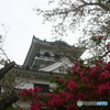 千葉　館山城
