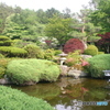 旅館庭園