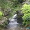 濃溝の滝