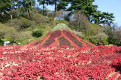 花博　赤富士