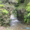 濃溝の滝
