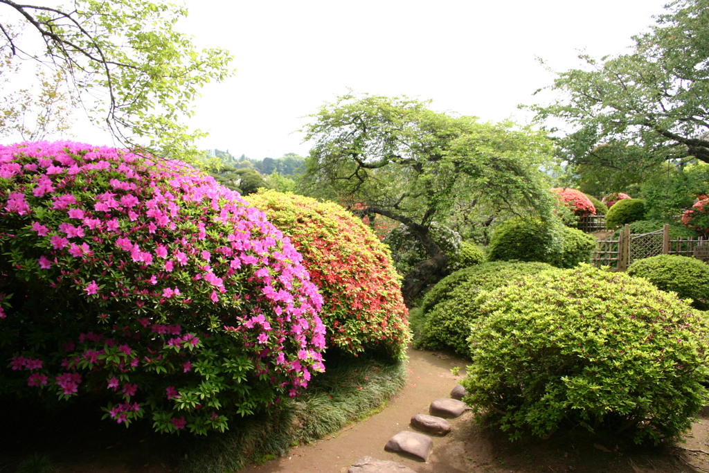 庭園シリーズ　偕楽園