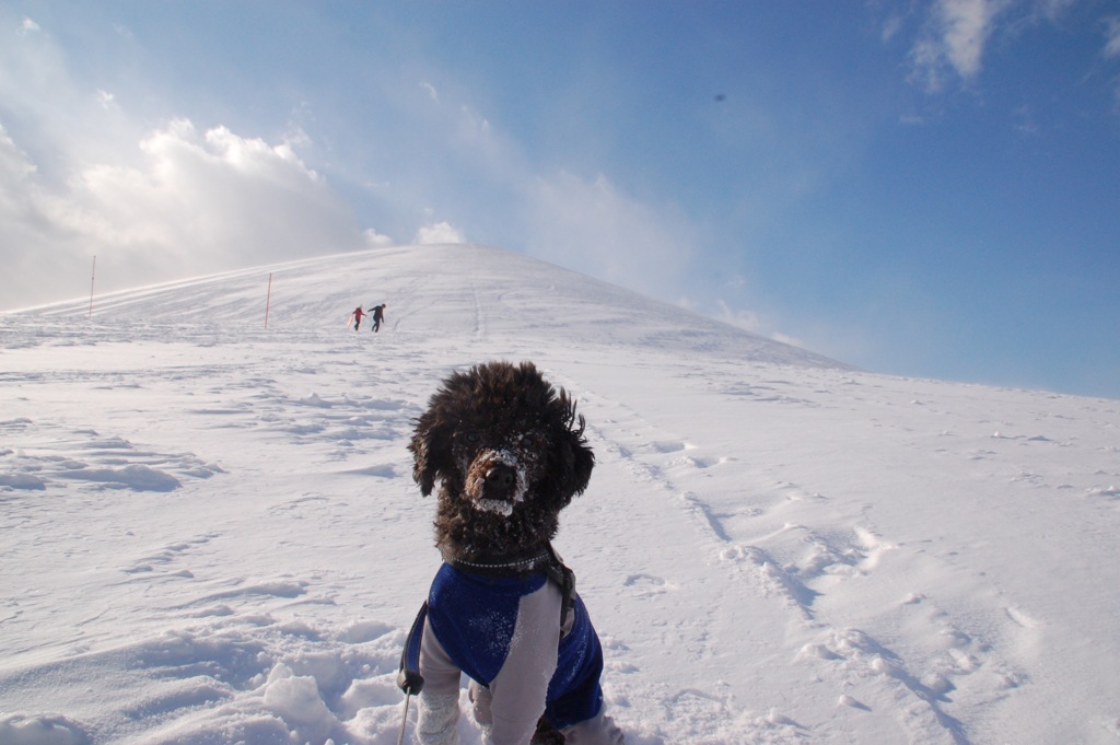 モエレ山