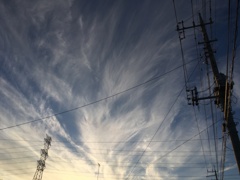 空と電柱