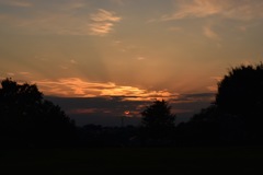 夕陽