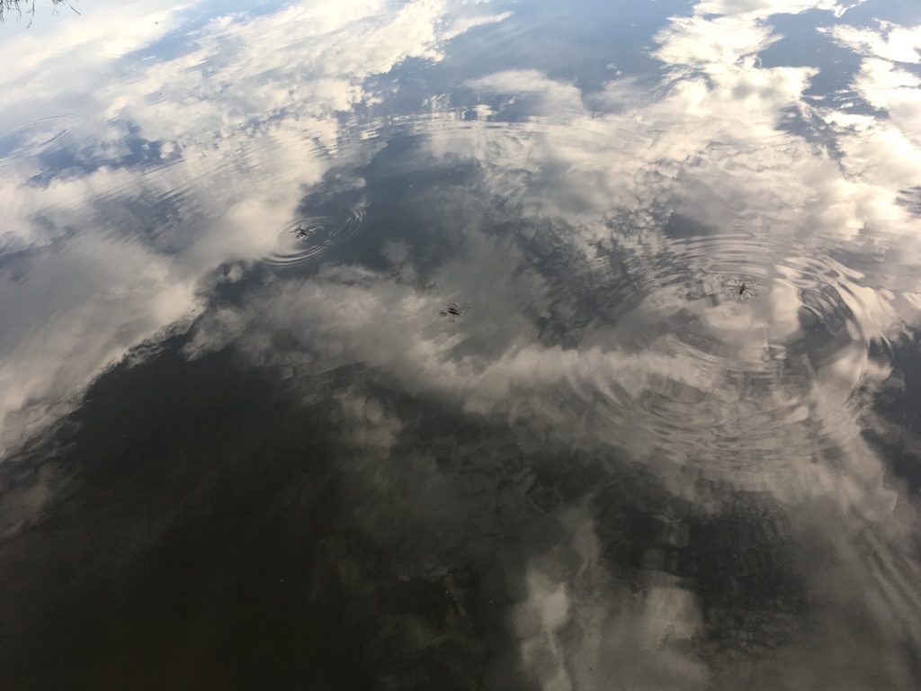 空