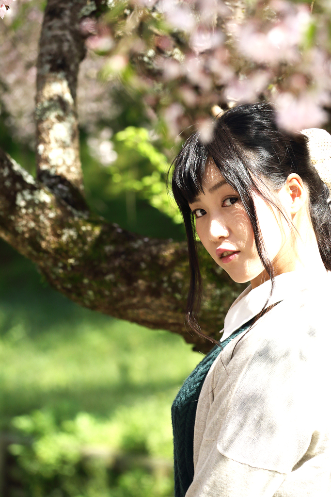 桜