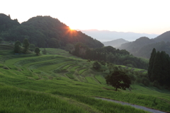 千葉県大山千枚田