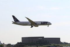 成田さくらの山公園