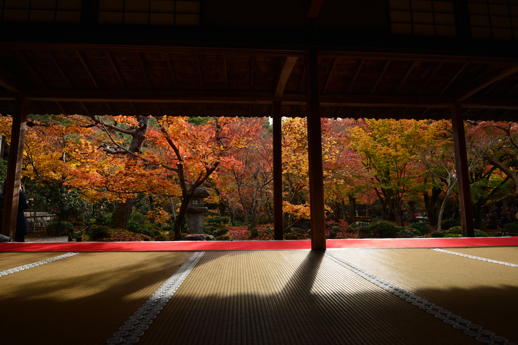 圓光寺２