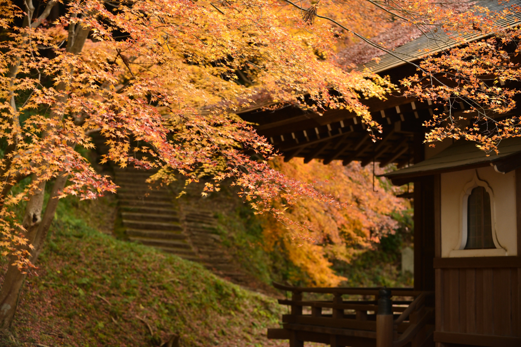 近所のお寺