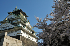 大阪城と桜１
