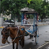 馬車に乗る子供