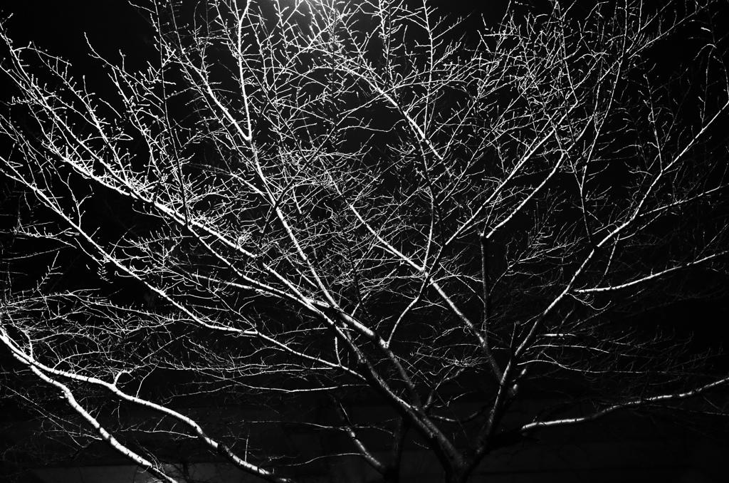 雪の夜　モノクロ