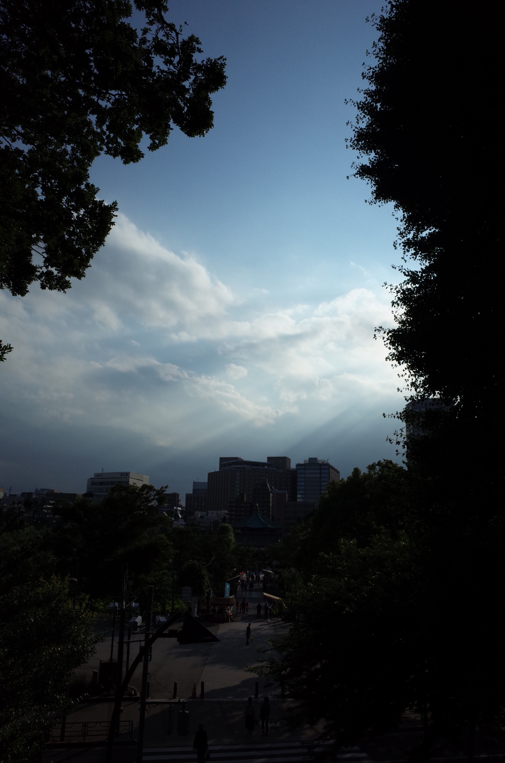 光