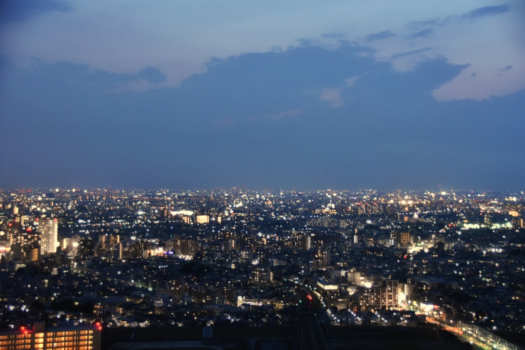 夜になるまで