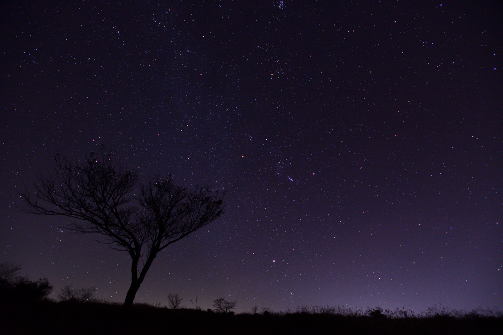 満天の星空 by INOSAYA （ID：7148684） - 写真共有サイト:PHOTOHITO