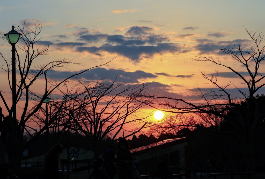 夕焼け