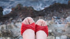 夏