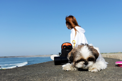 愛犬と恋人