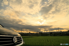 田舎道とVW