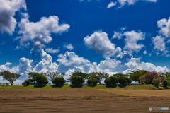 夏の雲