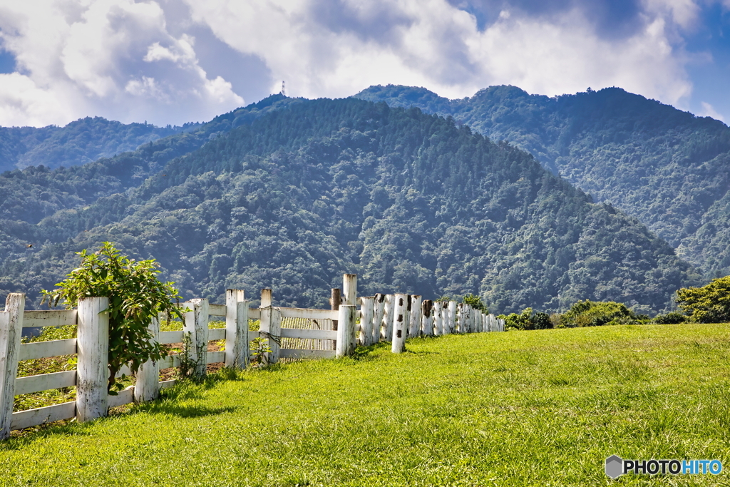 神奈川県の牧場風景