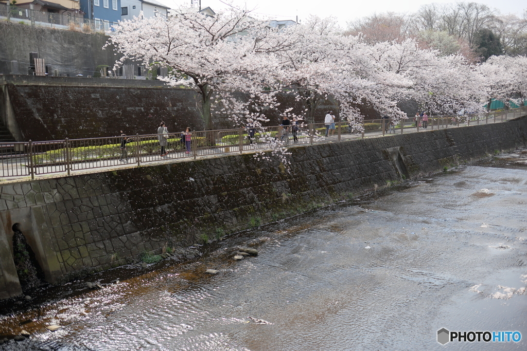町田市恩田川