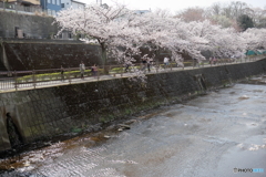 町田市恩田川