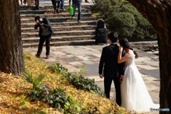 なんちゃってウエディング