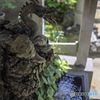 手水舎