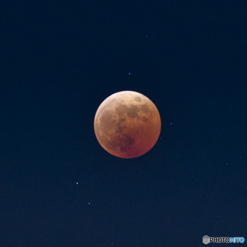 めっちゃトリミング