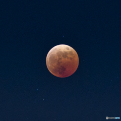 めっちゃトリミング