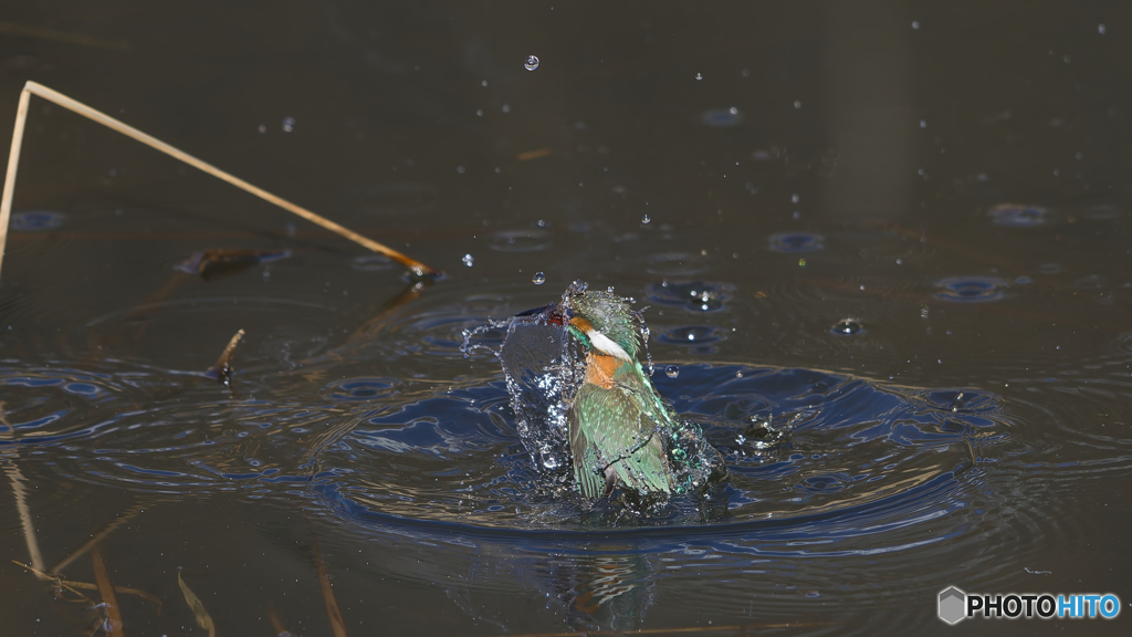 水絡み
