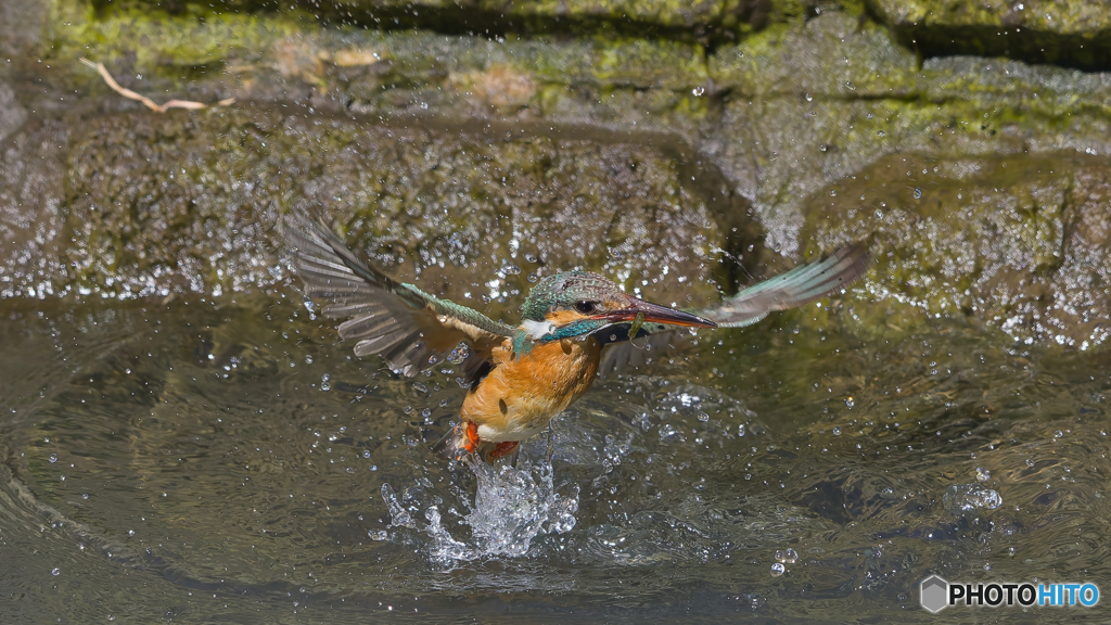 離水