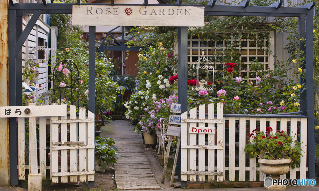 RoseGarden