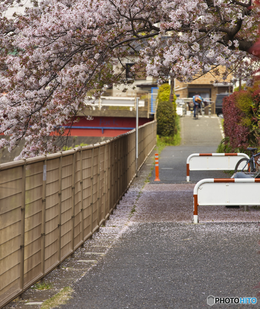 境川サイクリングロード