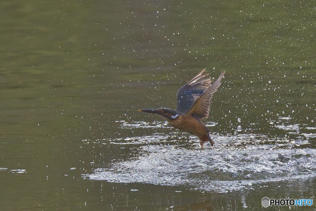 逆光の水しぶき