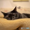 クロちゃんに寄ってみた(・ω・)
