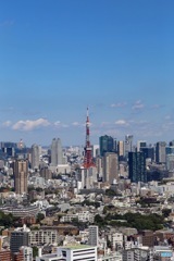 ガラス越しの東京