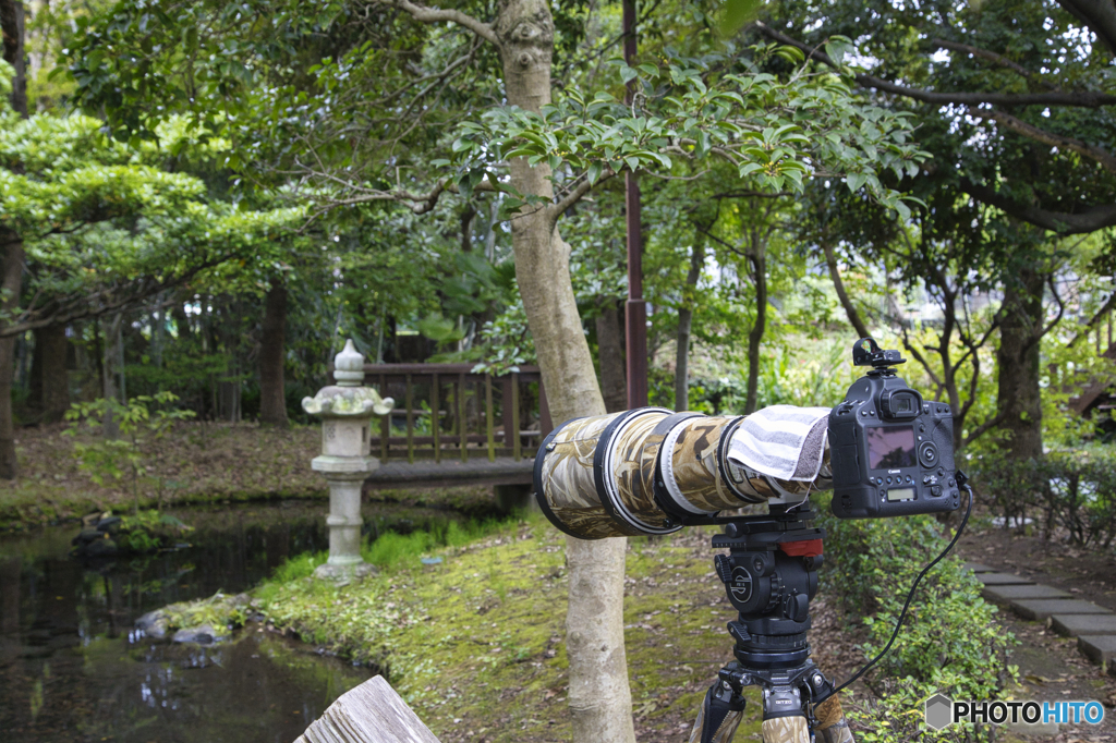 他人のカメラは気になります。