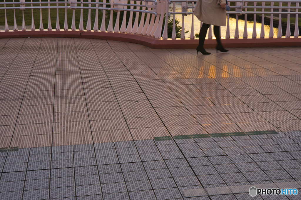 橋