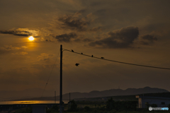 烏と書いてカラス