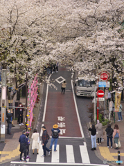 渋谷桜坂