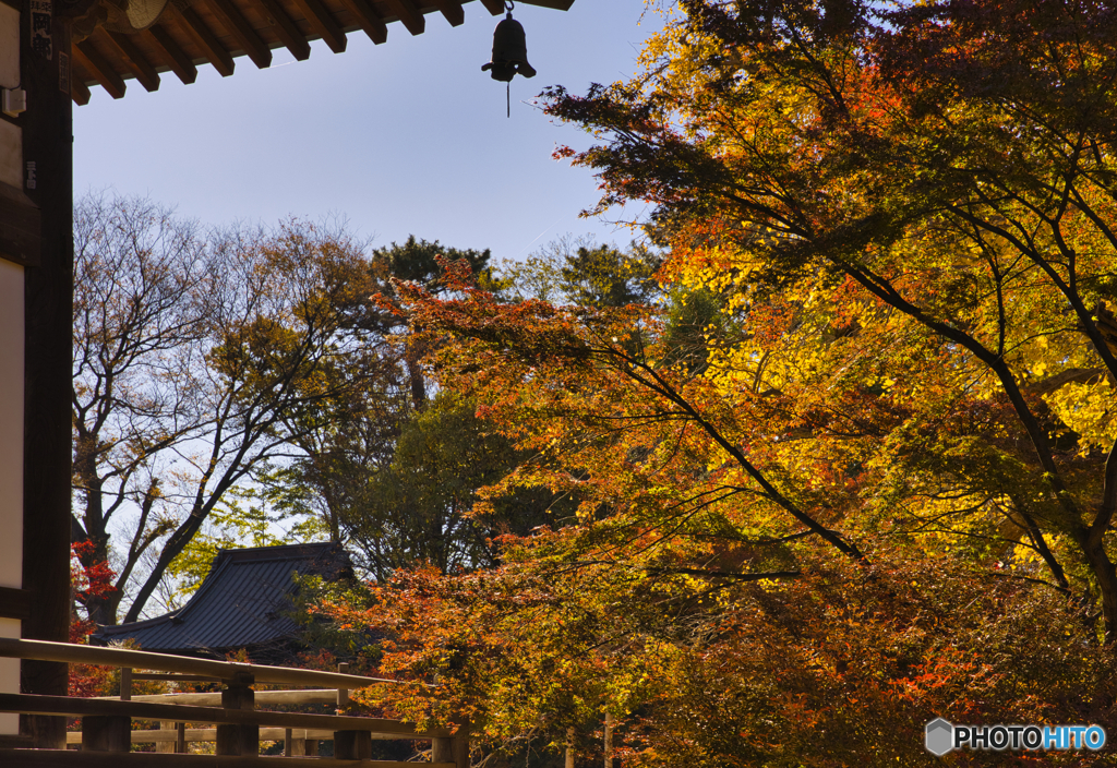 都内の紅葉スポットが少し色づき始めました