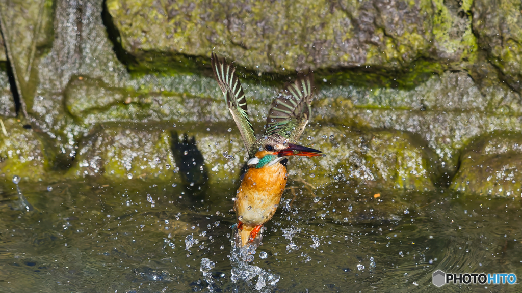 離水