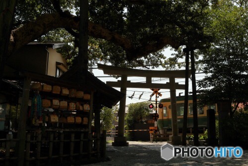 御霊神社の鳥居と江ノ電