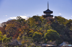 三渓園の紅葉はまだこれから