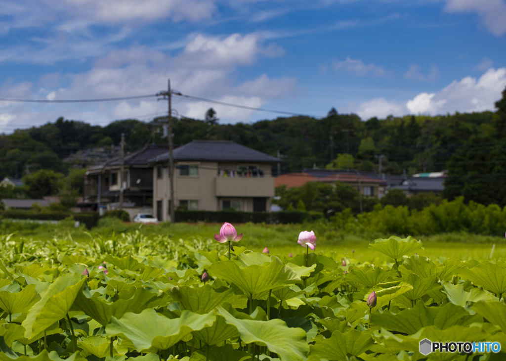 穴場スポット