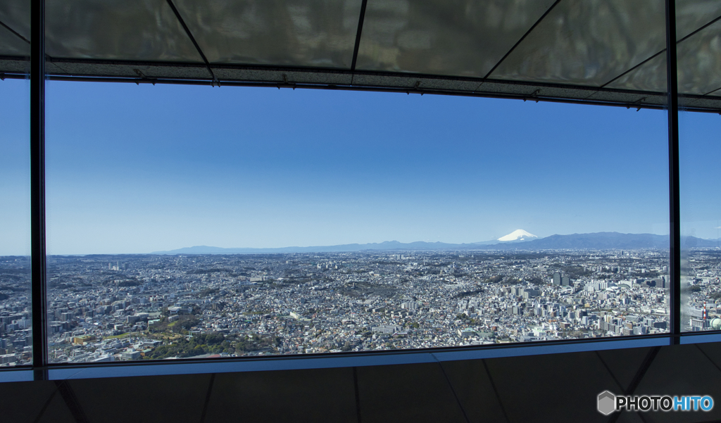 富士山が見える場所